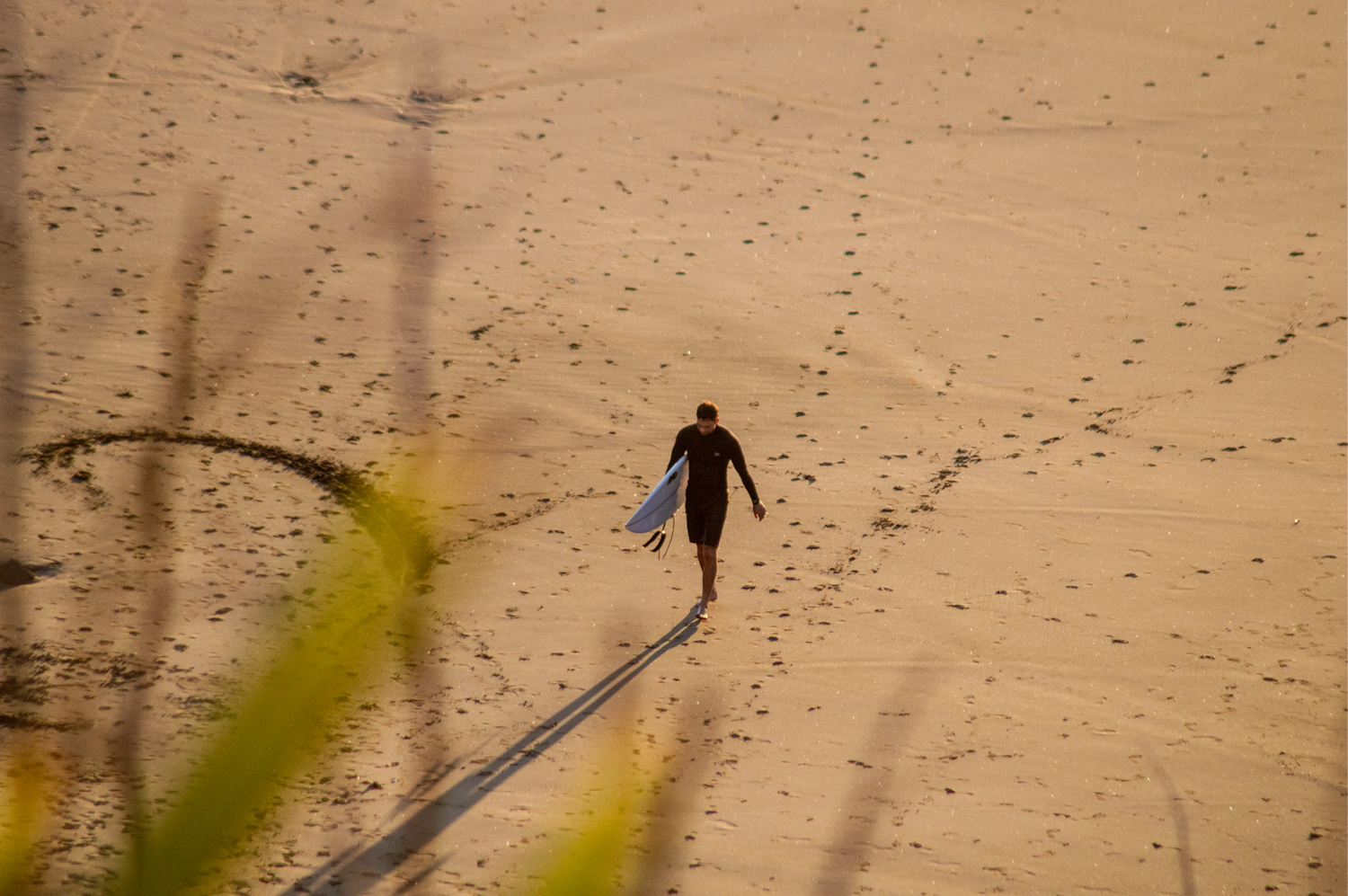 Fuelling Performance: The Universal Benefits of Supplements for Every Athlete